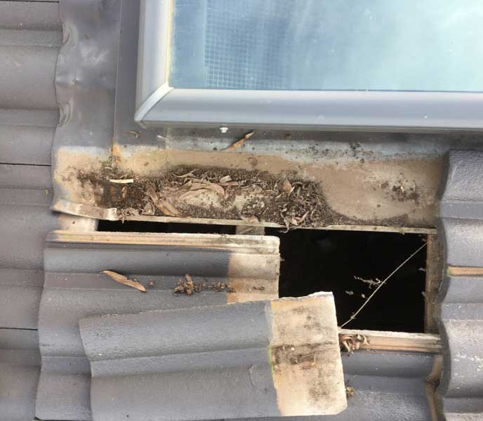 Why is my skylight leaking?