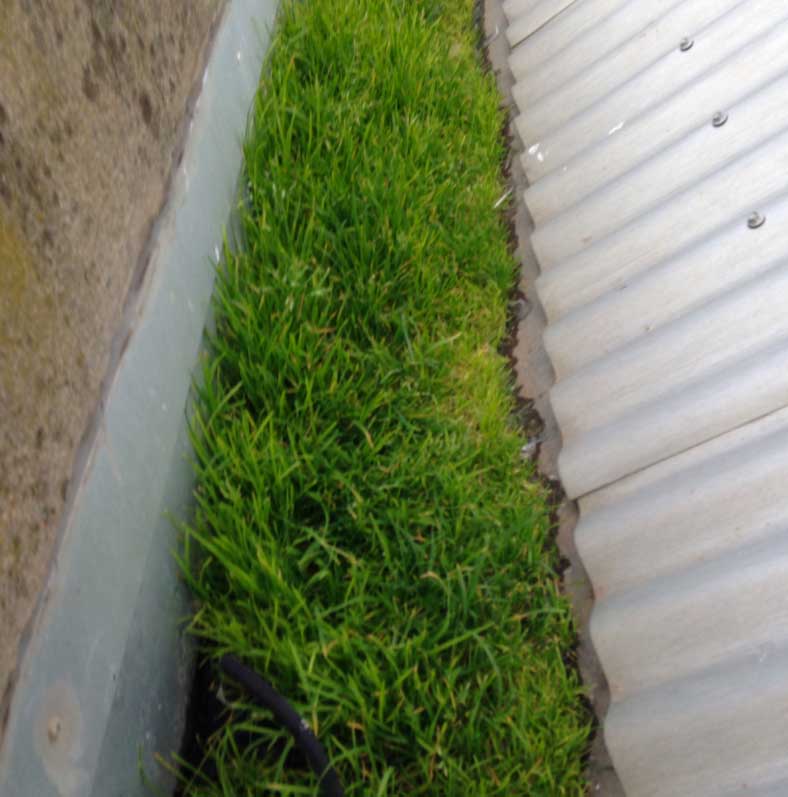 Leaking Box Gutters – Repairs & Replacements
