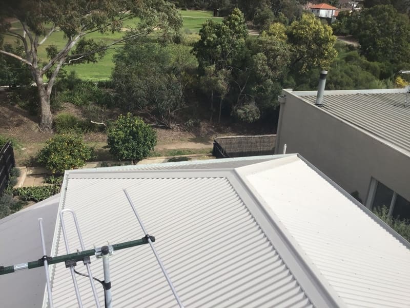 IMG_2020-09-03_06.33.41__0000